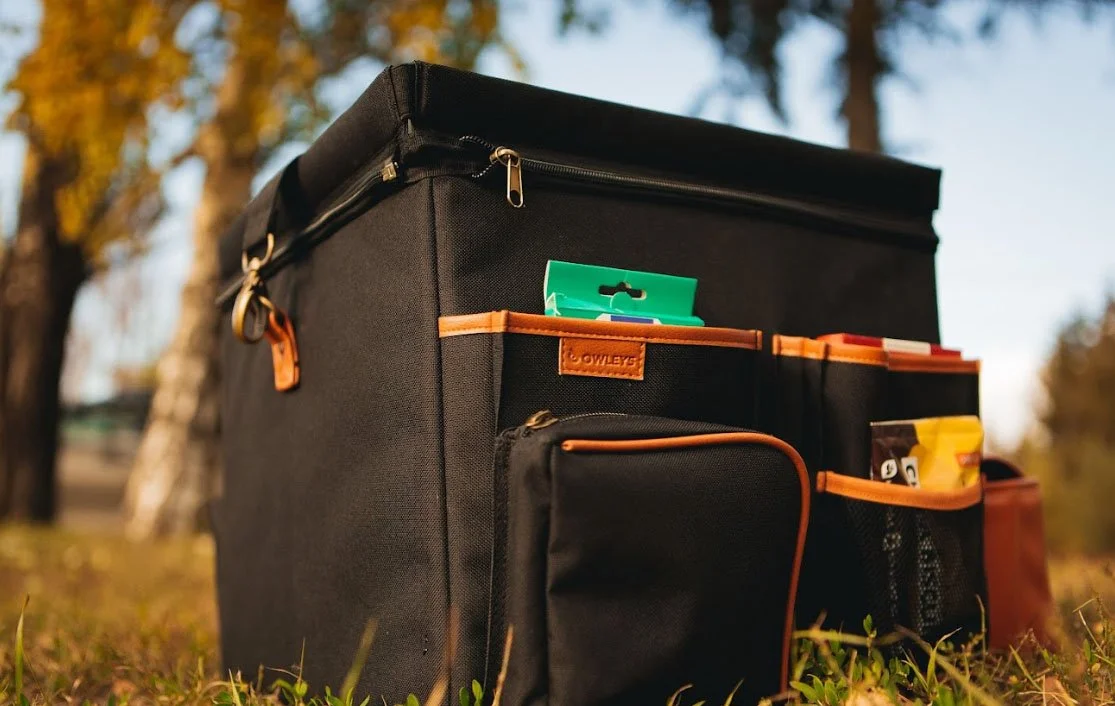 Dodge Charger trunk organizer